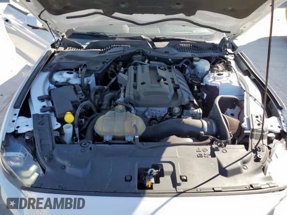 ✅ 2019 Ford Mustang EcoBoost • VIN: 1FA6P8TH2K5143193 • Lot: 90125565. Wystawiony na Copart z przebiegiem 107 509 mil. Bezpłatny archiwum sprzedaży aukcyjnych z USA i szczegółowy raport historii pojazdu na DreamBid. Zdjęcie 11.