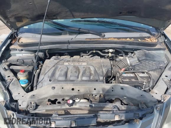 ✅ 2008 Honda Odyssey EX-L • VIN: 5FNRL38658B403641 • Lot: 42816667. Wystawiony na IAAI z przebiegiem 224 640 mil. Bezpłatny archiwum sprzedaży aukcyjnych z USA i szczegółowy raport historii pojazdu na DreamBid. Zdjęcie 10.