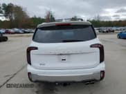 ✅ 2024 Kia Telluride SX • VIN: 5XYP54GC0RG461259 • Lot: 85143094. Listed on Copart with 37,874 mi. Free auction sales archive from the USA and detailed vehicle history report at DreamBid. Image 6.