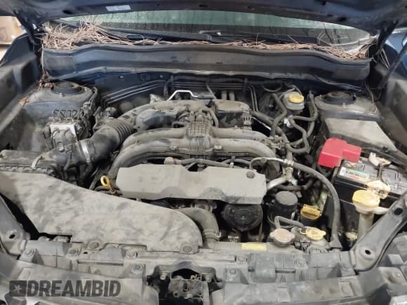 ✅ 2014 Subaru Forester Limited • VIN: JF2SJAHCXEH481007 • Lot: 43818833. Wystawiony na IAAI z przebiegiem 157 714 mil. Bezpłatny archiwum sprzedaży aukcyjnych z USA i szczegółowy raport historii pojazdu na DreamBid. Zdjęcie 10.