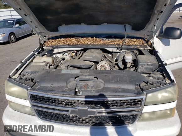 ✅ 2006 Chevrolet Silverado 1500 LT1 • VIN: 2GCEK13ZX61337689 • Лот: 80235864. Опубликован ранее на Copart с пробегом 263 546 миль. Бесплатный доступ к архиву аукционных продаж из США и подробный отчёт об истории автомобиля на DreamBid. Изображение 11.