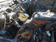 ✅ 2007 Chevrolet Silverado 2500HD 1LT • VIN: 1GCHK23607F504063 • Лот: 80144545. Опубликован ранее на Copart с пробегом Не указан. Бесплатный доступ к архиву аукционных продаж из США и подробный отчёт об истории автомобиля на DreamBid. Изображение 7.