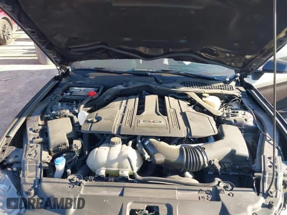 ✅ 2023 Ford Mustang GT • VIN: 1FA6P8CF4P5306108 • Lot: 41172443. Listed on IAAI with 14,926 mi. Free auction sales archive from the USA and detailed vehicle history report at DreamBid. Image 10.