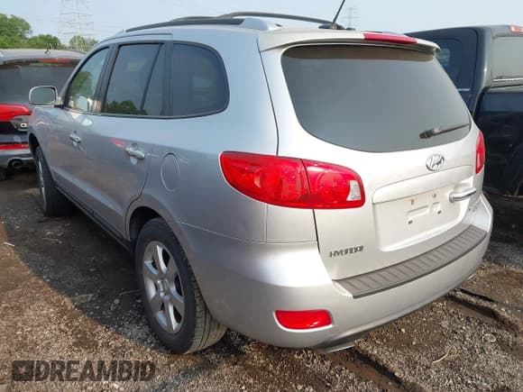 ✅ 2009 Hyundai Santa Fe SE • VIN: 5NMSH13E09H255761 • Lot: 42419450. Listed on IAAI with 252,937 mi. Free auction sales archive from the USA and detailed vehicle history report at DreamBid. Image 3.