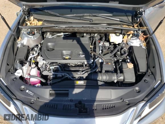 ✅ 2025 Lexus ES 300h Luxury • VIN: 58AEA1C12SU057930 • Lot: 62031375. Listed on Copart with 3,941 mi. Free auction sales archive from the USA and detailed vehicle history report at DreamBid. Image 11.