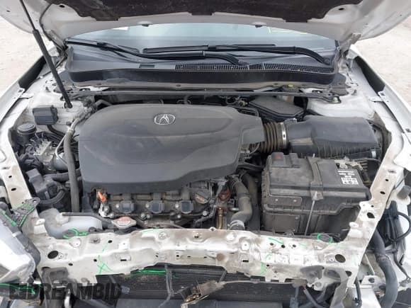 ✅ 2019 Acura TLX Technology • VIN: 19UUB3F47KA004276 • Lot: 41966378. Wystawiony na IAAI z przebiegiem 163 559 mil. Bezpłatny archiwum sprzedaży aukcyjnych z USA i szczegółowy raport historii pojazdu na DreamBid. Zdjęcie 10.