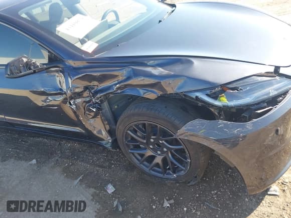 ✅ 2024 Tesla Model 3 • VIN: 5YJ3E1EA8RF860832 • Lot: 43410879. Wystawiony na IAAI z przebiegiem 14 313 mil. Bezpłatny archiwum sprzedaży aukcyjnych z USA i szczegółowy raport historii pojazdu na DreamBid. Zdjęcie 6.