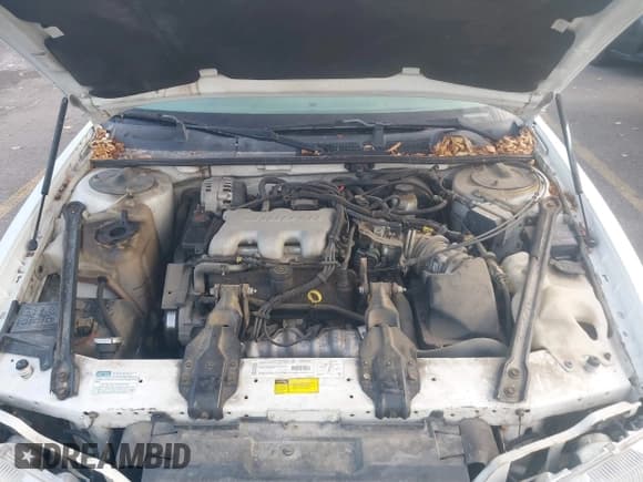 ✅ 2000 Chevrolet Lumina • VIN: 2G1WL52J8Y1344401 • Лот: 43824004. Опубликован ранее на IAAI с пробегом 175 546 миль. Бесплатный доступ к архиву аукционных продаж из США и подробный отчёт об истории автомобиля на DreamBid. Изображение 10.