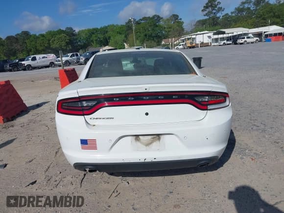 ✅ 2019 Dodge Charger Police • VIN: 2C3CDXAT3KH599711 • Лот: 41906214. Опубликован ранее на IAAI с пробегом 80 462 миль. Бесплатный доступ к архиву аукционных продаж из США и подробный отчёт об истории автомобиля на DreamBid. Изображение 16.
