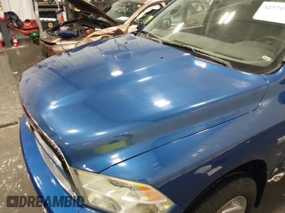 ✅ 2009 Dodge 1500 Laramie • VIN: 1D3HV13T69S734828 • Lot: 42571982. Wystawiony na IAAI z przebiegiem 285 185 mil. Bezpłatny archiwum sprzedaży aukcyjnych z USA i szczegółowy raport historii pojazdu na DreamBid. Zdjęcie 19.