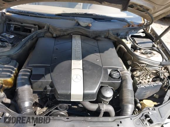 ✅ 2002 Mercedes-Benz C 230/260/280/320 • VIN: WDBRF64J52E001466 • Lot: 41984606. Wystawiony na IAAI z przebiegiem 122 482 mil. Bezpłatny archiwum sprzedaży aukcyjnych z USA i szczegółowy raport historii pojazdu na DreamBid. Zdjęcie 10.