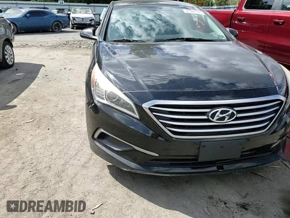 2016 Hyundai Sonata SE с VIN 5NPE24AF7GH314414, выставлен на аукционе Copart как лот 81593305 с пробегом 118 624 миль миль и Списание • Salvage title. История ставок и продаж доступна на DreamBid. Изображение 13.