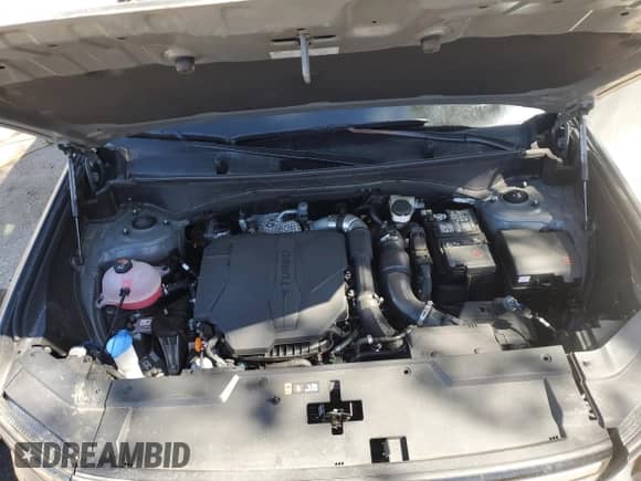 2025 Hyundai Santa Fe SEL с VIN 5NMP2DGL3SH084396, выставлен на аукционе Copart как лот 53260635 с пробегом 9 115 миль миль и Чистый • Clean title. История ставок и продаж доступна на DreamBid. Изображение 12.