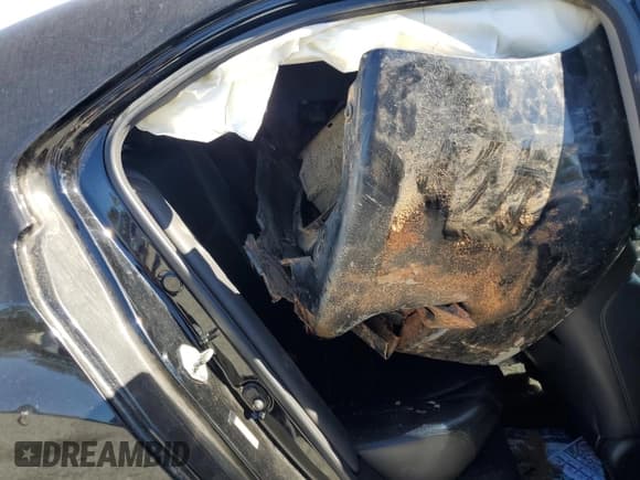 ✅ 2010 Acura TSX • VIN: JH4CU2F67AC042818 • Lot: 86317335. Wystawiony na Copart z przebiegiem 295 005 mil. Bezpłatny archiwum sprzedaży aukcyjnych z USA i szczegółowy raport historii pojazdu na DreamBid. Zdjęcie 10.