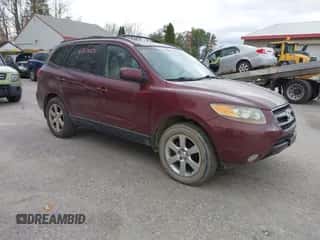 2007 Hyundai Santa Fe SE with VIN 5NMSH13E67H091932, listed as a IAAI auction lot 43574372 with 179,710 mi miles and . Bid and sale history available at DreamBid. Image 1.