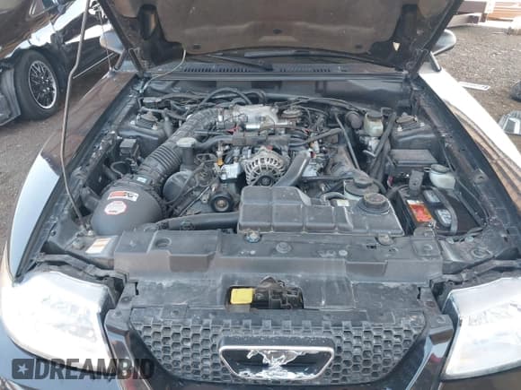 ✅ 2000 Ford Mustang GT • VIN: 1FAFP45X0YF268144 • Lot: 43101059. Wystawiony na IAAI z przebiegiem 71 791 mil. Bezpłatny archiwum sprzedaży aukcyjnych z USA i szczegółowy raport historii pojazdu na DreamBid. Zdjęcie 10.