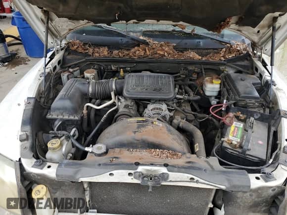 2005 Dodge Dakota ST with VIN 1D7HE28K75S151411, listed as a Copart auction lot 58223775 with 218,017 mi miles and Clean title. Bid and sale history available at DreamBid. Image 11.