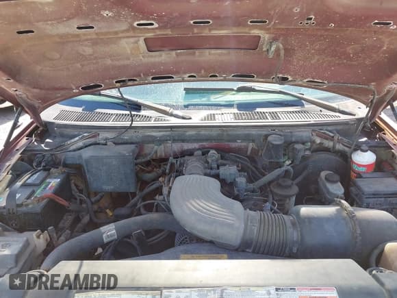 ✅ 1997 Ford F-150 • VIN: 1FTDX08W4VKB70606 • Lot: 42871658. Listed on IAAI with 210,297 mi. Free auction sales archive from the USA and detailed vehicle history report at DreamBid. Image 10.