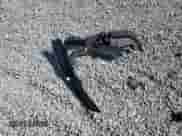 2025 Toyota Prius LE с VIN JTDACAAU6S3057114, выставлен на аукционе Copart как лот 80388475 с пробегом Не указан миль и Списание • Salvage title. История ставок и продаж доступна на DreamBid. Изображение 12.