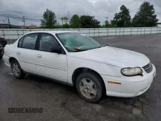 2005 Chevrolet Malibu Classic z VIN 1G1ND52F15M226081, wystawiony jako Copart lot #54518785 z przebiegiem 193 362 mil mil oraz Szkoda całkowita • Salvage title. Historia ofert i sprzedaży dostępna na DreamBid. Obrazek 4.