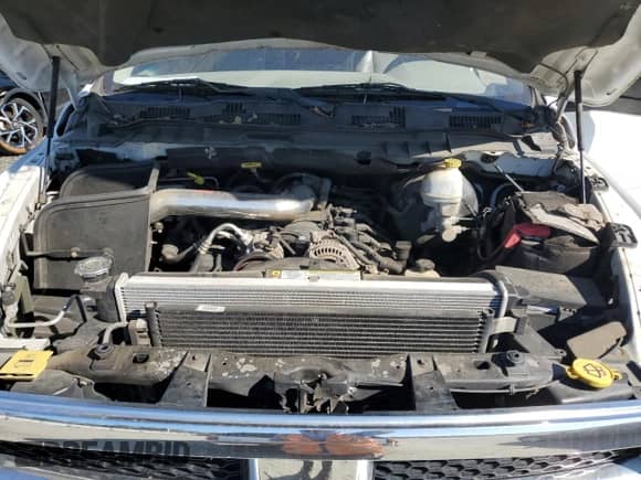 2010 Dodge 1500 ST with VIN 1D7RB1GP7AS154484, listed as a Copart auction lot 77488534 with 159,969 mi miles and Salvage title. Bid and sale history available at DreamBid. Image 11.