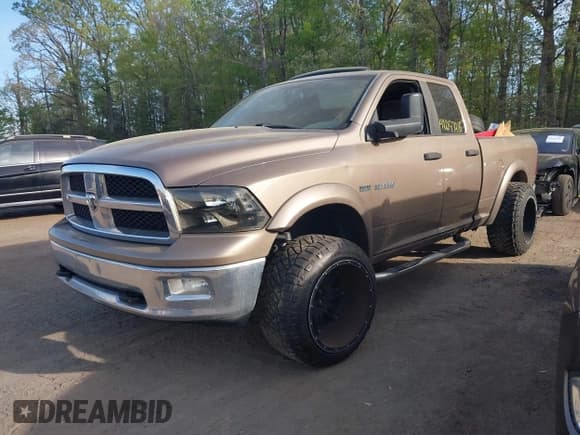 ✅ 2009 Dodge 1500 SLT • VIN: 1D3HV18T39S724184 • Lot: 42097416. Wystawiony na IAAI z przebiegiem 297 630 mil. Bezpłatny archiwum sprzedaży aukcyjnych z USA i szczegółowy raport historii pojazdu na DreamBid. Zdjęcie 2.