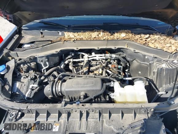 ✅ 2022 Ford Explorer XLT • VIN: 1FMSK7DHXNGA30211 • Lot: 41972894. Wystawiony na IAAI z przebiegiem 47 414 mil. Bezpłatny archiwum sprzedaży aukcyjnych z USA i szczegółowy raport historii pojazdu na DreamBid. Zdjęcie 10.