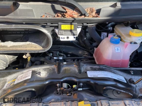 ✅ 2023 Ram ProMaster Window Van • VIN: 3C6LRVPG0PE565358 • Лот: 88339105. Опубликован ранее на Copart с пробегом 500 миль. Бесплатный доступ к архиву аукционных продаж из США и подробный отчёт об истории автомобиля на DreamBid. Изображение 7.