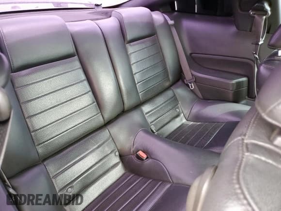 ✅ 2008 Ford Mustang GT Deluxe • VIN: 1ZVHT82H185106612 • Lot: 69381155. Wystawiony na Copart z przebiegiem 113 577 mil. Bezpłatny archiwum sprzedaży aukcyjnych z USA i szczegółowy raport historii pojazdu na DreamBid. Zdjęcie 10.