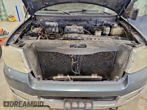 ✅ 2004 Ford F-150 XLT • VIN: 1FTPX14534NA32231 • Lot: 96538485. Wystawiony na Copart z przebiegiem 189 025 mil. Bezpłatny archiwum sprzedaży aukcyjnych z USA i szczegółowy raport historii pojazdu na DreamBid. Zdjęcie 11.