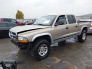 ✅ 2002 Dodge Dakota SLT • VIN: 1B7HG48N22S552578 • Lot: 43618272. Wystawiony na IAAI z przebiegiem 162 459 mil. Bezpłatny archiwum sprzedaży aukcyjnych z USA i szczegółowy raport historii pojazdu na DreamBid. Zdjęcie 2.