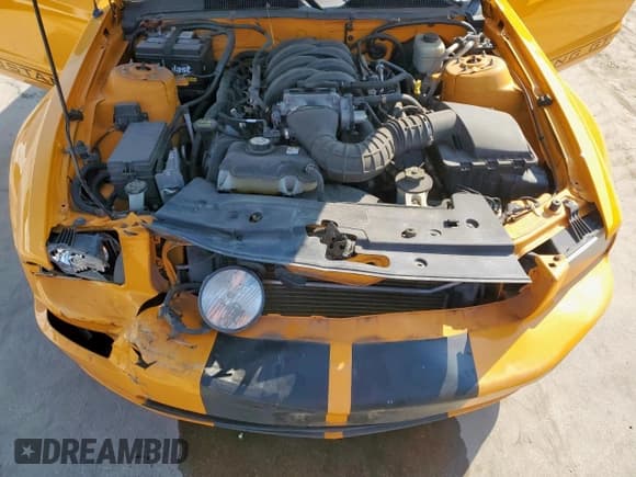 ✅ 2008 Ford Mustang GT Deluxe • VIN: 1ZVHT82H985138661 • Lot: 81414165. Listed on Copart with 97,023 mi. Free auction sales archive from the USA and detailed vehicle history report at DreamBid. Image 11.