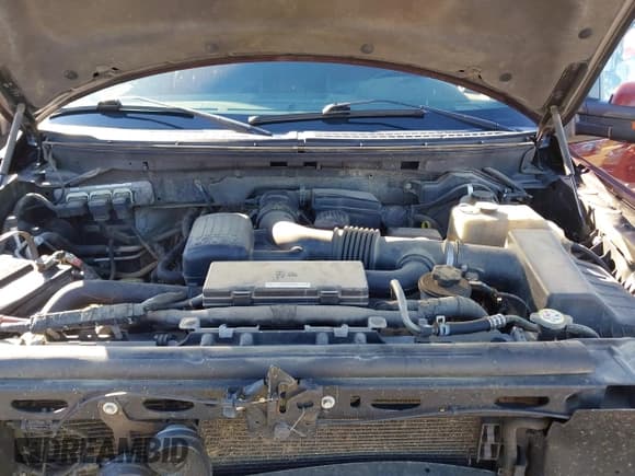 ✅ 2010 Ford F-150 XL • VIN: 1FTFW1EV3AFC48549 • Lot: 43402930. Wystawiony na IAAI z przebiegiem 135 794 mil. Bezpłatny archiwum sprzedaży aukcyjnych z USA i szczegółowy raport historii pojazdu na DreamBid. Zdjęcie 10.