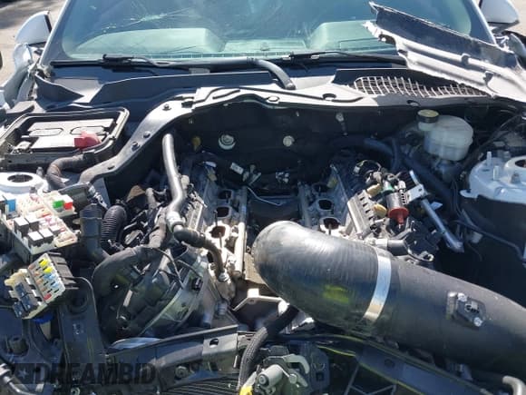 ✅ 2020 Ford Mustang GT • VIN: 1FA6P8CF0L5136422 • Lot: 42292093. Listed on IAAI with Not provided. Free auction sales archive from the USA and detailed vehicle history report at DreamBid. Image 10.