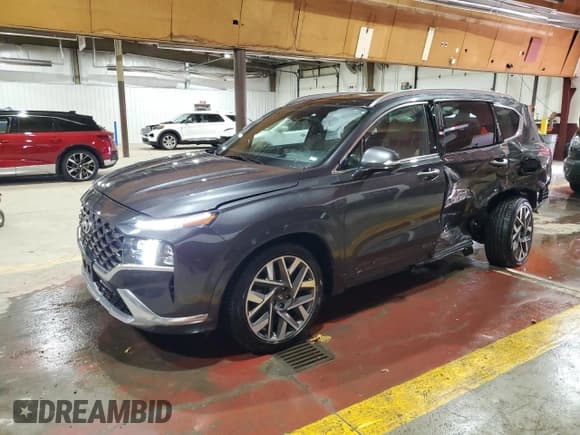 ✅ 2023 Hyundai Santa Fe Calligraphy • VIN: 5NMS54AL0PH643016 • Lot: 93201835. Listed on Copart with 48,768 mi. Free auction sales archive from the USA and detailed vehicle history report at DreamBid. Image 1.