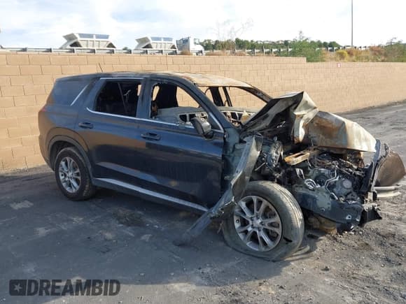 ✅ 2020 Hyundai Palisade SE • VIN: KM8R14HE9LU120447 • Lot: 43667338. Listed on IAAI with Not provided. Free auction sales archive from the USA and detailed vehicle history report at DreamBid. Image 1.