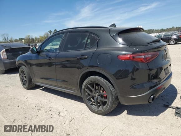 ✅ 2020 Alfa Romeo Stelvio • VIN: ZASPAJAN5L7C94672 • Lot: 49097535. Wystawiony na Copart z przebiegiem 64 009 mil. Bezpłatny archiwum sprzedaży aukcyjnych z USA i szczegółowy raport historii pojazdu na DreamBid. Zdjęcie 2.
