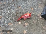 ✅ 2012 Hyundai Veloster w/Red Int • VIN: KMHTC6AD3CU026741 • Lot: 77782934. Wystawiony na Copart z przebiegiem 114 467 mil. Bezpłatny archiwum sprzedaży aukcyjnych z USA i szczegółowy raport historii pojazdu na DreamBid. Zdjęcie 12.