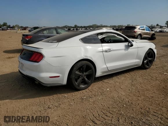 ✅ 2021 Ford Mustang EcoBoost • VIN: 1FA6P8TH6M5146438 • Lot: 80247845. Listed on Copart with Not provided. Free auction sales archive from the USA and detailed vehicle history report at DreamBid. Image 3.