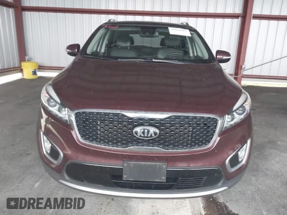 ✅ 2017 Kia Sorento EX • VIN: 5XYPH4A54HG262098 • Lot: 43856057. Listed on IAAI with 119,040 mi. Free auction sales archive from the USA and detailed vehicle history report at DreamBid. Image 12.