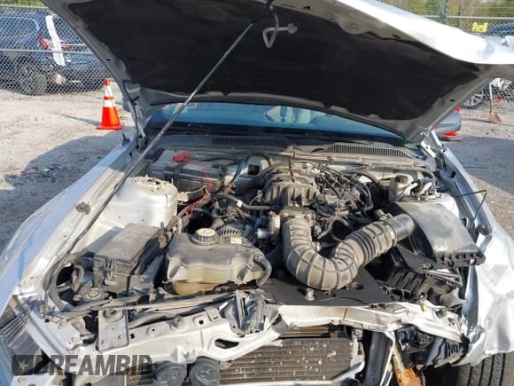 ✅ 2009 Ford Mustang • VIN: 1ZVHT84N095114611 • Lot: 43427616. Listed on IAAI with 81,282 mi. Free auction sales archive from the USA and detailed vehicle history report at DreamBid. Image 10.