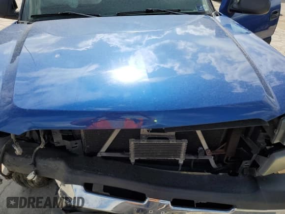 ✅ 2003 Chevrolet Silverado 1500 LS • VIN: 1GCEK14T63Z210404 • Lot: 54880995. Listed on Copart with Not provided. Free auction sales archive from the USA and detailed vehicle history report at DreamBid. Image 11.