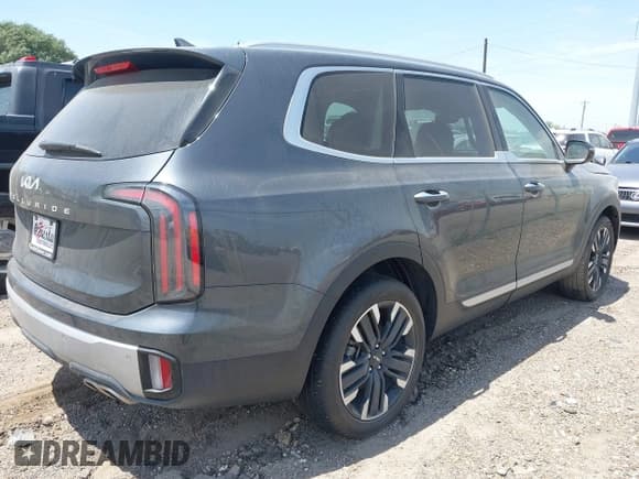 ✅ 2024 Kia Telluride SX • VIN: 5XYP54GC8RG441888 • Lot: 42046489. Listed on IAAI with Not provided. Free auction sales archive from the USA and detailed vehicle history report at DreamBid. Image 4.