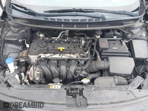 ✅ 2017 Kia Forte LX • VIN: 3KPFL4A7XHE119729 • Lot: 43105299. Wystawiony na IAAI z przebiegiem 102 639 mil. Bezpłatny archiwum sprzedaży aukcyjnych z USA i szczegółowy raport historii pojazdu na DreamBid. Zdjęcie 10.