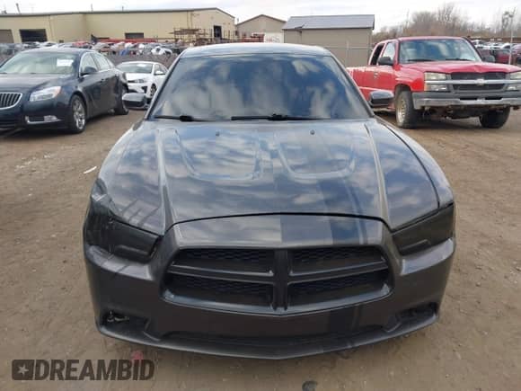 ✅ 2014 Dodge Charger RT • VIN: 2C3CDXCT8EH159467 • Lot: 43633281. Listed on IAAI with 119,381 mi. Free auction sales archive from the USA and detailed vehicle history report at DreamBid. Image 12.