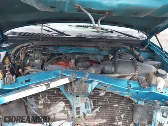 ✅ 1998 Ford F-150 • VIN: 1FTZX172XWNA93590 • Lot: 42630006. Listed on IAAI with 180,178 mi. Free auction sales archive from the USA and detailed vehicle history report at DreamBid. Image 10.