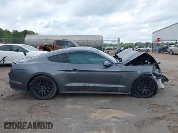 ✅ 2021 Ford Mustang GT • VIN: 1FA6P8CF4M5146999 • Lot: 41913521. Listed on IAAI with Not provided. Free auction sales archive from the USA and detailed vehicle history report at DreamBid. Image 12.