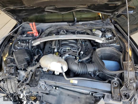 ✅ 2020 Ford Mustang Shelby GT350 • VIN: 1FA6P8JZXL5550191 • Lot: 86896465. Listed on Copart with 42,523 mi. Free auction sales archive from the USA and detailed vehicle history report at DreamBid. Image 11.