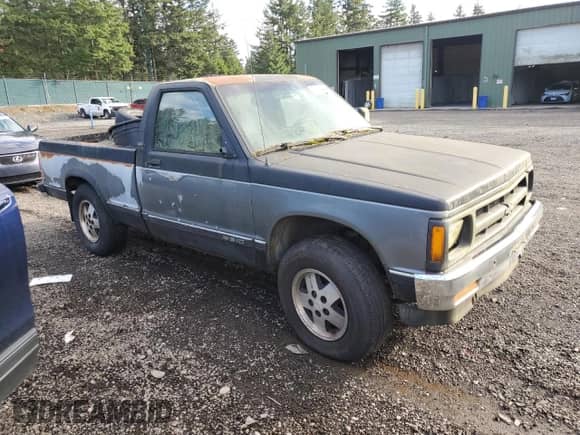 1991 Chevrolet S-10 EL X81 with VIN 1GCCT14ZXM0188776, listed as a Copart auction lot 78316434 with 266,519 mi miles and Clean title. Bid and sale history available at DreamBid. Image 4.