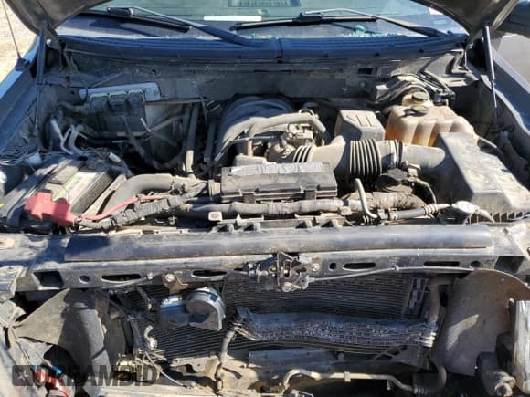 ✅ 2010 Ford F-150 XL • VIN: 1FTEX1E81AFB70386 • Lot: 56473345. Listed on Copart with 194,006 mi. Free auction sales archive from the USA and detailed vehicle history report at DreamBid. Image 11.